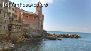 [P24] tellaro » foto by lalely
 - 
<span class="allrVoted glyphicon glyphicon-heart hidden" id="av804028"></span>
<a class="m-l-10 hidden" id="sv804028" onclick="voting_Foto_DelVot(,804028,14241)" role="button">șterge vot <span class="glyphicon glyphicon-remove"></span></a>
<a id="v9804028" class=" c-red"  onclick="voting_Foto_SetVot(804028)" role="button"><span class="glyphicon glyphicon-heart-empty"></span> <b>LIKE</b> = Votează poza</a> <img class="hidden"  id="f804028W9" src="/imagini/loader.gif" border="0" /><span class="AjErrMes hidden" id="e804028ErM"></span>