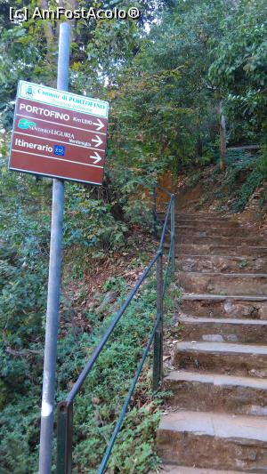 [P35] drumul catre portofino continua pe aici » foto by lalely
 - 
<span class="allrVoted glyphicon glyphicon-heart hidden" id="av804039"></span>
<a class="m-l-10 hidden" id="sv804039" onclick="voting_Foto_DelVot(,804039,14241)" role="button">șterge vot <span class="glyphicon glyphicon-remove"></span></a>
<a id="v9804039" class=" c-red"  onclick="voting_Foto_SetVot(804039)" role="button"><span class="glyphicon glyphicon-heart-empty"></span> <b>LIKE</b> = Votează poza</a> <img class="hidden"  id="f804039W9" src="/imagini/loader.gif" border="0" /><span class="AjErrMes hidden" id="e804039ErM"></span>