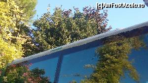 [P02] Chitul pus cu lopata pe la geamuri.  » foto by Aqvila
 - 
<span class="allrVoted glyphicon glyphicon-heart hidden" id="av673539"></span>
<a class="m-l-10 hidden" id="sv673539" onclick="voting_Foto_DelVot(,673539,14241)" role="button">șterge vot <span class="glyphicon glyphicon-remove"></span></a>
<a id="v9673539" class=" c-red"  onclick="voting_Foto_SetVot(673539)" role="button"><span class="glyphicon glyphicon-heart-empty"></span> <b>LIKE</b> = Votează poza</a> <img class="hidden"  id="f673539W9" src="/imagini/loader.gif" border="0" /><span class="AjErrMes hidden" id="e673539ErM"></span>