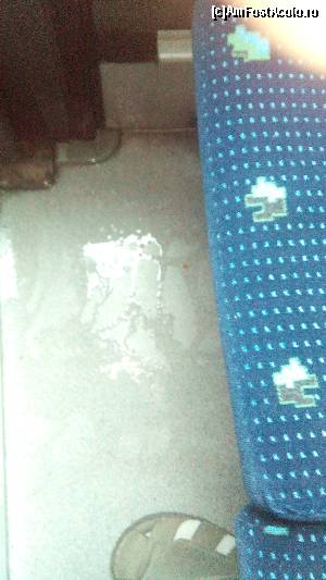 [P03] Ploua afară, băltea înăuntru.  » foto by Aqvila
 - 
<span class="allrVoted glyphicon glyphicon-heart hidden" id="av673542"></span>
<a class="m-l-10 hidden" id="sv673542" onclick="voting_Foto_DelVot(,673542,14241)" role="button">șterge vot <span class="glyphicon glyphicon-remove"></span></a>
<a id="v9673542" class=" c-red"  onclick="voting_Foto_SetVot(673542)" role="button"><span class="glyphicon glyphicon-heart-empty"></span> <b>LIKE</b> = Votează poza</a> <img class="hidden"  id="f673542W9" src="/imagini/loader.gif" border="0" /><span class="AjErrMes hidden" id="e673542ErM"></span>