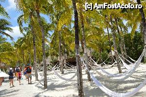 [P14] padurea de hamace @ parcul acvatic xel-ha » foto by rayden
 - 
<span class="allrVoted glyphicon glyphicon-heart hidden" id="av426997"></span>
<a class="m-l-10 hidden" id="sv426997" onclick="voting_Foto_DelVot(,426997,14286)" role="button">șterge vot <span class="glyphicon glyphicon-remove"></span></a>
<a id="v9426997" class=" c-red"  onclick="voting_Foto_SetVot(426997)" role="button"><span class="glyphicon glyphicon-heart-empty"></span> <b>LIKE</b> = Votează poza</a> <img class="hidden"  id="f426997W9" src="/imagini/loader.gif" border="0" /><span class="AjErrMes hidden" id="e426997ErM"></span>