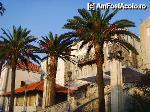 [P48] Korcula » foto by felix
 - 
<span class="allrVoted glyphicon glyphicon-heart hidden" id="av432095"></span>
<a class="m-l-10 hidden" id="sv432095" onclick="voting_Foto_DelVot(,432095,14336)" role="button">șterge vot <span class="glyphicon glyphicon-remove"></span></a>
<a id="v9432095" class=" c-red"  onclick="voting_Foto_SetVot(432095)" role="button"><span class="glyphicon glyphicon-heart-empty"></span> <b>LIKE</b> = Votează poza</a> <img class="hidden"  id="f432095W9" src="/imagini/loader.gif" border="0" /><span class="AjErrMes hidden" id="e432095ErM"></span>