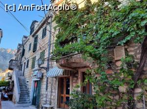 [P25] Centrul vechi din Makarska » foto by BOGDAN DSN
 - 
<span class="allrVoted glyphicon glyphicon-heart hidden" id="av1301061"></span>
<a class="m-l-10 hidden" id="sv1301061" onclick="voting_Foto_DelVot(,1301061,14336)" role="button">șterge vot <span class="glyphicon glyphicon-remove"></span></a>
<a id="v91301061" class=" c-red"  onclick="voting_Foto_SetVot(1301061)" role="button"><span class="glyphicon glyphicon-heart-empty"></span> <b>LIKE</b> = Votează poza</a> <img class="hidden"  id="f1301061W9" src="/imagini/loader.gif" border="0" /><span class="AjErrMes hidden" id="e1301061ErM"></span>