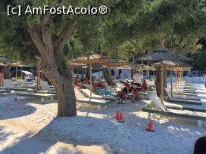 [P11] umbra soare si mult alb la porto vathy beach » foto by Dan&Ema
 - 
<span class="allrVoted glyphicon glyphicon-heart hidden" id="av880694"></span>
<a class="m-l-10 hidden" id="sv880694" onclick="voting_Foto_DelVot(,880694,14421)" role="button">șterge vot <span class="glyphicon glyphicon-remove"></span></a>
<a id="v9880694" class=" c-red"  onclick="voting_Foto_SetVot(880694)" role="button"><span class="glyphicon glyphicon-heart-empty"></span> <b>LIKE</b> = Votează poza</a> <img class="hidden"  id="f880694W9" src="/imagini/loader.gif" border="0" /><span class="AjErrMes hidden" id="e880694ErM"></span>