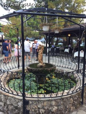 [P30] fantana cu nuferi de la vigli » foto by Dan&Ema
 - 
<span class="allrVoted glyphicon glyphicon-heart hidden" id="av880730"></span>
<a class="m-l-10 hidden" id="sv880730" onclick="voting_Foto_DelVot(,880730,14421)" role="button">șterge vot <span class="glyphicon glyphicon-remove"></span></a>
<a id="v9880730" class=" c-red"  onclick="voting_Foto_SetVot(880730)" role="button"><span class="glyphicon glyphicon-heart-empty"></span> <b>LIKE</b> = Votează poza</a> <img class="hidden"  id="f880730W9" src="/imagini/loader.gif" border="0" /><span class="AjErrMes hidden" id="e880730ErM"></span>