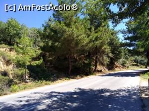 [P03] Drumul spre Paradise Beach » foto by Radu P.
 - 
<span class="allrVoted glyphicon glyphicon-heart hidden" id="av886751"></span>
<a class="m-l-10 hidden" id="sv886751" onclick="voting_Foto_DelVot(,886751,14421)" role="button">șterge vot <span class="glyphicon glyphicon-remove"></span></a>
<a id="v9886751" class=" c-red"  onclick="voting_Foto_SetVot(886751)" role="button"><span class="glyphicon glyphicon-heart-empty"></span> <b>LIKE</b> = Votează poza</a> <img class="hidden"  id="f886751W9" src="/imagini/loader.gif" border="0" /><span class="AjErrMes hidden" id="e886751ErM"></span>