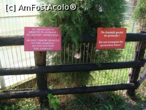 [P61] Iată câteva reguli pe care trebuie să le respectăm cu toții când mergem la Zoo.  » foto by Floryn81
 - 
<span class="allrVoted glyphicon glyphicon-heart hidden" id="av715049"></span>
<a class="m-l-10 hidden" id="sv715049" onclick="voting_Foto_DelVot(,715049,14430)" role="button">șterge vot <span class="glyphicon glyphicon-remove"></span></a>
<a id="v9715049" class=" c-red"  onclick="voting_Foto_SetVot(715049)" role="button"><span class="glyphicon glyphicon-heart-empty"></span> <b>LIKE</b> = Votează poza</a> <img class="hidden"  id="f715049W9" src="/imagini/loader.gif" border="0" /><span class="AjErrMes hidden" id="e715049ErM"></span>