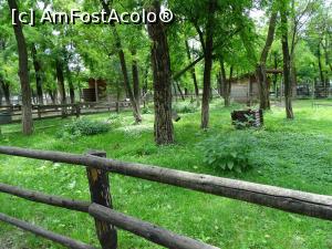 [P14] Spații largi - Zoo Râmnicu Vâlcea.  » foto by tata123 🔱
 - 
<span class="allrVoted glyphicon glyphicon-heart hidden" id="av987787"></span>
<a class="m-l-10 hidden" id="sv987787" onclick="voting_Foto_DelVot(,987787,14430)" role="button">șterge vot <span class="glyphicon glyphicon-remove"></span></a>
<a id="v9987787" class=" c-red"  onclick="voting_Foto_SetVot(987787)" role="button"><span class="glyphicon glyphicon-heart-empty"></span> <b>LIKE</b> = Votează poza</a> <img class="hidden"  id="f987787W9" src="/imagini/loader.gif" border="0" /><span class="AjErrMes hidden" id="e987787ErM"></span>