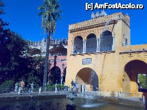 [P06] Palatul Alcazar din Sevilla. Frumusete la superlativ.  » foto by Albinoium
 - 
<span class="allrVoted glyphicon glyphicon-heart hidden" id="av433923"></span>
<a class="m-l-10 hidden" id="sv433923" onclick="voting_Foto_DelVot(,433923,14441)" role="button">șterge vot <span class="glyphicon glyphicon-remove"></span></a>
<a id="v9433923" class=" c-red"  onclick="voting_Foto_SetVot(433923)" role="button"><span class="glyphicon glyphicon-heart-empty"></span> <b>LIKE</b> = Votează poza</a> <img class="hidden"  id="f433923W9" src="/imagini/loader.gif" border="0" /><span class="AjErrMes hidden" id="e433923ErM"></span>