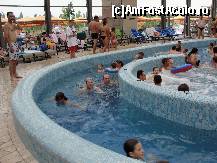 [P21] Piscina cu vartej si in mijloc una cu bulburuci » foto by dananecula*
 - 
<span class="allrVoted glyphicon glyphicon-heart hidden" id="av122298"></span>
<a class="m-l-10 hidden" id="sv122298" onclick="voting_Foto_DelVot(,122298,14480)" role="button">șterge vot <span class="glyphicon glyphicon-remove"></span></a>
<a id="v9122298" class=" c-red"  onclick="voting_Foto_SetVot(122298)" role="button"><span class="glyphicon glyphicon-heart-empty"></span> <b>LIKE</b> = Votează poza</a> <img class="hidden"  id="f122298W9" src="/imagini/loader.gif" border="0" /><span class="AjErrMes hidden" id="e122298ErM"></span>