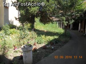 [P06] în curte cetăţii erau multe flori » foto by zlatna
 - 
<span class="allrVoted glyphicon glyphicon-heart hidden" id="av819315"></span>
<a class="m-l-10 hidden" id="sv819315" onclick="voting_Foto_DelVot(,819315,14490)" role="button">șterge vot <span class="glyphicon glyphicon-remove"></span></a>
<a id="v9819315" class=" c-red"  onclick="voting_Foto_SetVot(819315)" role="button"><span class="glyphicon glyphicon-heart-empty"></span> <b>LIKE</b> = Votează poza</a> <img class="hidden"  id="f819315W9" src="/imagini/loader.gif" border="0" /><span class="AjErrMes hidden" id="e819315ErM"></span>