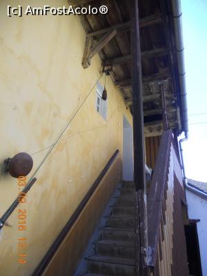 [P08] aici locuieşte ghidul şi sitemul care îl anunţă când intră cineva în curte » foto by zlatna
 - 
<span class="allrVoted glyphicon glyphicon-heart hidden" id="av819317"></span>
<a class="m-l-10 hidden" id="sv819317" onclick="voting_Foto_DelVot(,819317,14490)" role="button">șterge vot <span class="glyphicon glyphicon-remove"></span></a>
<a id="v9819317" class=" c-red"  onclick="voting_Foto_SetVot(819317)" role="button"><span class="glyphicon glyphicon-heart-empty"></span> <b>LIKE</b> = Votează poza</a> <img class="hidden"  id="f819317W9" src="/imagini/loader.gif" border="0" /><span class="AjErrMes hidden" id="e819317ErM"></span>