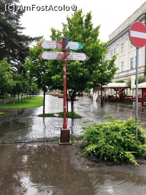 [P18] Zonă pietonală din centrul orașului » foto by AZE
 - 
<span class="allrVoted glyphicon glyphicon-heart hidden" id="av1330195"></span>
<a class="m-l-10 hidden" id="sv1330195" onclick="voting_Foto_DelVot(,1330195,14513)" role="button">șterge vot <span class="glyphicon glyphicon-remove"></span></a>
<a id="v91330195" class=" c-red"  onclick="voting_Foto_SetVot(1330195)" role="button"><span class="glyphicon glyphicon-heart-empty"></span> <b>LIKE</b> = Votează poza</a> <img class="hidden"  id="f1330195W9" src="/imagini/loader.gif" border="0" /><span class="AjErrMes hidden" id="e1330195ErM"></span>