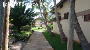 [P01] gradina » foto by catalinx
 - 
<span class="allrVoted glyphicon glyphicon-heart hidden" id="av707111"></span>
<a class="m-l-10 hidden" id="sv707111" onclick="voting_Foto_DelVot(,707111,14565)" role="button">șterge vot <span class="glyphicon glyphicon-remove"></span></a>
<a id="v9707111" class=" c-red"  onclick="voting_Foto_SetVot(707111)" role="button"><span class="glyphicon glyphicon-heart-empty"></span> <b>LIKE</b> = Votează poza</a> <img class="hidden"  id="f707111W9" src="/imagini/loader.gif" border="0" /><span class="AjErrMes hidden" id="e707111ErM"></span>