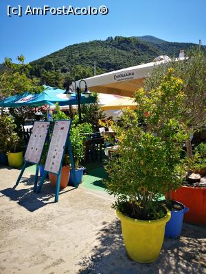 [P05] Contessina; intrarea pe terasă » foto by crismis
 - 
<span class="allrVoted glyphicon glyphicon-heart hidden" id="av1269987"></span>
<a class="m-l-10 hidden" id="sv1269987" onclick="voting_Foto_DelVot(,1269987,14638)" role="button">șterge vot <span class="glyphicon glyphicon-remove"></span></a>
<a id="v91269987" class=" c-red"  onclick="voting_Foto_SetVot(1269987)" role="button"><span class="glyphicon glyphicon-heart-empty"></span> <b>LIKE</b> = Votează poza</a> <img class="hidden"  id="f1269987W9" src="/imagini/loader.gif" border="0" /><span class="AjErrMes hidden" id="e1269987ErM"></span>