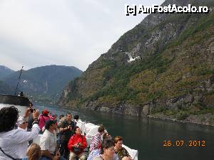 [P13] În drum spre Bergen - Cu 'Lady Elisabeth' în croazieră pe Sognefjord.  » foto by iulianic
 - 
<span class="allrVoted glyphicon glyphicon-heart hidden" id="av475128"></span>
<a class="m-l-10 hidden" id="sv475128" onclick="voting_Foto_DelVot(,475128,14660)" role="button">șterge vot <span class="glyphicon glyphicon-remove"></span></a>
<a id="v9475128" class=" c-red"  onclick="voting_Foto_SetVot(475128)" role="button"><span class="glyphicon glyphicon-heart-empty"></span> <b>LIKE</b> = Votează poza</a> <img class="hidden"  id="f475128W9" src="/imagini/loader.gif" border="0" /><span class="AjErrMes hidden" id="e475128ErM"></span>