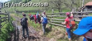 [P31] Ca să scăpăm de noroi ne mai cățăram și pe garduri » foto by Mika
 - 
<span class="allrVoted glyphicon glyphicon-heart hidden" id="av1299257"></span>
<a class="m-l-10 hidden" id="sv1299257" onclick="voting_Foto_DelVot(,1299257,14749)" role="button">șterge vot <span class="glyphicon glyphicon-remove"></span></a>
<a id="v91299257" class=" c-red"  onclick="voting_Foto_SetVot(1299257)" role="button"><span class="glyphicon glyphicon-heart-empty"></span> <b>LIKE</b> = Votează poza</a> <img class="hidden"  id="f1299257W9" src="/imagini/loader.gif" border="0" /><span class="AjErrMes hidden" id="e1299257ErM"></span>