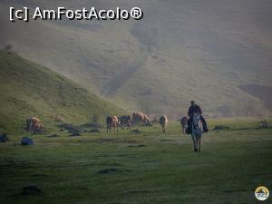 [P32] Fundătura Ponorului » foto by Mika <span class="label label-default labelC_thin small">NEVOTABILĂ</span>