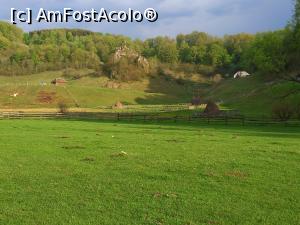 [P38] Fundătura Ponorului » foto by Mika
 - 
<span class="allrVoted glyphicon glyphicon-heart hidden" id="av1299264"></span>
<a class="m-l-10 hidden" id="sv1299264" onclick="voting_Foto_DelVot(,1299264,14749)" role="button">șterge vot <span class="glyphicon glyphicon-remove"></span></a>
<a id="v91299264" class=" c-red"  onclick="voting_Foto_SetVot(1299264)" role="button"><span class="glyphicon glyphicon-heart-empty"></span> <b>LIKE</b> = Votează poza</a> <img class="hidden"  id="f1299264W9" src="/imagini/loader.gif" border="0" /><span class="AjErrMes hidden" id="e1299264ErM"></span>