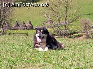 [P46] Locuitorii necuvantatori ai Fundăturii Ponorului » foto by Mika
 - 
<span class="allrVoted glyphicon glyphicon-heart hidden" id="av1299272"></span>
<a class="m-l-10 hidden" id="sv1299272" onclick="voting_Foto_DelVot(,1299272,14749)" role="button">șterge vot <span class="glyphicon glyphicon-remove"></span></a>
<a id="v91299272" class=" c-red"  onclick="voting_Foto_SetVot(1299272)" role="button"><span class="glyphicon glyphicon-heart-empty"></span> <b>LIKE</b> = Votează poza</a> <img class="hidden"  id="f1299272W9" src="/imagini/loader.gif" border="0" /><span class="AjErrMes hidden" id="e1299272ErM"></span>