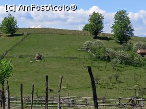 [P52] Fundătura Ponorului » foto by Mika
 - 
<span class="allrVoted glyphicon glyphicon-heart hidden" id="av1299278"></span>
<a class="m-l-10 hidden" id="sv1299278" onclick="voting_Foto_DelVot(,1299278,14749)" role="button">șterge vot <span class="glyphicon glyphicon-remove"></span></a>
<a id="v91299278" class=" c-red"  onclick="voting_Foto_SetVot(1299278)" role="button"><span class="glyphicon glyphicon-heart-empty"></span> <b>LIKE</b> = Votează poza</a> <img class="hidden"  id="f1299278W9" src="/imagini/loader.gif" border="0" /><span class="AjErrMes hidden" id="e1299278ErM"></span>