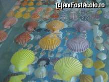 [P21] Alte scoice deosebite » foto by ionescunic
 - 
<span class="allrVoted glyphicon glyphicon-heart hidden" id="av43891"></span>
<a class="m-l-10 hidden" id="sv43891" onclick="voting_Foto_DelVot(,43891,14751)" role="button">șterge vot <span class="glyphicon glyphicon-remove"></span></a>
<a id="v943891" class=" c-red"  onclick="voting_Foto_SetVot(43891)" role="button"><span class="glyphicon glyphicon-heart-empty"></span> <b>LIKE</b> = Votează poza</a> <img class="hidden"  id="f43891W9" src="/imagini/loader.gif" border="0" /><span class="AjErrMes hidden" id="e43891ErM"></span>