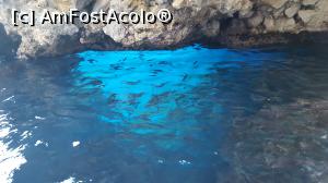 [P07] Chiar sunt albastre » foto by MoniQ69
 - 
<span class="allrVoted glyphicon glyphicon-heart hidden" id="av1004353"></span>
<a class="m-l-10 hidden" id="sv1004353" onclick="voting_Foto_DelVot(,1004353,14751)" role="button">șterge vot <span class="glyphicon glyphicon-remove"></span></a>
<a id="v91004353" class=" c-red"  onclick="voting_Foto_SetVot(1004353)" role="button"><span class="glyphicon glyphicon-heart-empty"></span> <b>LIKE</b> = Votează poza</a> <img class="hidden"  id="f1004353W9" src="/imagini/loader.gif" border="0" /><span class="AjErrMes hidden" id="e1004353ErM"></span>