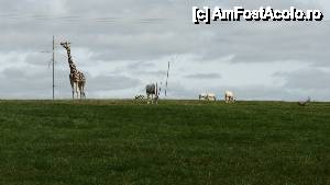 [P14] Parca nu sunt atatia nori in savana africana » foto by DanCld
 - 
<span class="allrVoted glyphicon glyphicon-heart hidden" id="av466218"></span>
<a class="m-l-10 hidden" id="sv466218" onclick="voting_Foto_DelVot(,466218,14774)" role="button">șterge vot <span class="glyphicon glyphicon-remove"></span></a>
<a id="v9466218" class=" c-red"  onclick="voting_Foto_SetVot(466218)" role="button"><span class="glyphicon glyphicon-heart-empty"></span> <b>LIKE</b> = Votează poza</a> <img class="hidden"  id="f466218W9" src="/imagini/loader.gif" border="0" /><span class="AjErrMes hidden" id="e466218ErM"></span>