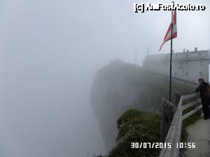 [P33] Alt nenorocos...  » foto by Alina53
 - 
<span class="allrVoted glyphicon glyphicon-heart hidden" id="av690009"></span>
<a class="m-l-10 hidden" id="sv690009" onclick="voting_Foto_DelVot(,690009,14815)" role="button">șterge vot <span class="glyphicon glyphicon-remove"></span></a>
<a id="v9690009" class=" c-red"  onclick="voting_Foto_SetVot(690009)" role="button"><span class="glyphicon glyphicon-heart-empty"></span> <b>LIKE</b> = Votează poza</a> <img class="hidden"  id="f690009W9" src="/imagini/loader.gif" border="0" /><span class="AjErrMes hidden" id="e690009ErM"></span>