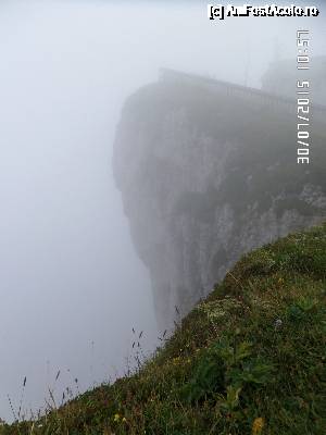 [P34]  -- <small>// FĂRĂ DESCRIERE</small> » foto by Alina53
 - 
<span class="allrVoted glyphicon glyphicon-heart hidden" id="av690010"></span>
<a class="m-l-10 hidden" id="sv690010" onclick="voting_Foto_DelVot(,690010,14815)" role="button">șterge vot <span class="glyphicon glyphicon-remove"></span></a>
<a id="v9690010" class=" c-red"  onclick="voting_Foto_SetVot(690010)" role="button"><span class="glyphicon glyphicon-heart-empty"></span> <b>LIKE</b> = Votează poza</a> <img class="hidden"  id="f690010W9" src="/imagini/loader.gif" border="0" /><span class="AjErrMes hidden" id="e690010ErM"></span>