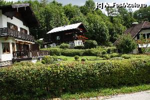 [P83]  -- <small>// FĂRĂ DESCRIERE</small> » foto by Alina53
 - 
<span class="allrVoted glyphicon glyphicon-heart hidden" id="av690090"></span>
<a class="m-l-10 hidden" id="sv690090" onclick="voting_Foto_DelVot(,690090,14815)" role="button">șterge vot <span class="glyphicon glyphicon-remove"></span></a>
<a id="v9690090" class=" c-red"  onclick="voting_Foto_SetVot(690090)" role="button"><span class="glyphicon glyphicon-heart-empty"></span> <b>LIKE</b> = Votează poza</a> <img class="hidden"  id="f690090W9" src="/imagini/loader.gif" border="0" /><span class="AjErrMes hidden" id="e690090ErM"></span>