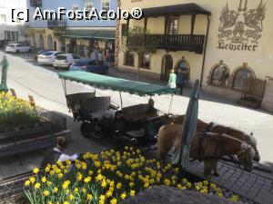 [P25] St. Wolfgang - Pana apar turistii putina odihna nu strica » foto by mishu
 - 
<span class="allrVoted glyphicon glyphicon-heart hidden" id="av1161626"></span>
<a class="m-l-10 hidden" id="sv1161626" onclick="voting_Foto_DelVot(,1161626,14815)" role="button">șterge vot <span class="glyphicon glyphicon-remove"></span></a>
<a id="v91161626" class=" c-red"  onclick="voting_Foto_SetVot(1161626)" role="button"><span class="glyphicon glyphicon-heart-empty"></span> <b>LIKE</b> = Votează poza</a> <img class="hidden"  id="f1161626W9" src="/imagini/loader.gif" border="0" /><span class="AjErrMes hidden" id="e1161626ErM"></span>