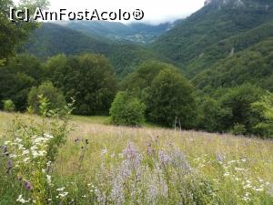 [P03] Spre Ineleț, după ce ploaia s-a oprit » foto by Mika
 - 
<span class="allrVoted glyphicon glyphicon-heart hidden" id="av1175574"></span>
<a class="m-l-10 hidden" id="sv1175574" onclick="voting_Foto_DelVot(,1175574,14820)" role="button">șterge vot <span class="glyphicon glyphicon-remove"></span></a>
<a id="v91175574" class=" c-red"  onclick="voting_Foto_SetVot(1175574)" role="button"><span class="glyphicon glyphicon-heart-empty"></span> <b>LIKE</b> = Votează poza</a> <img class="hidden"  id="f1175574W9" src="/imagini/loader.gif" border="0" /><span class="AjErrMes hidden" id="e1175574ErM"></span>