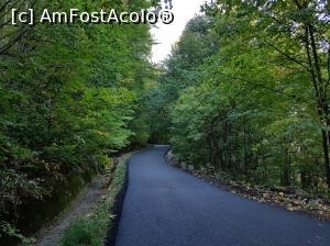 [P01] Drumul îngust și proaspăt asfaltat urcă prin pădure spre mănăstirea Măgura Ocnei și spre monumentul-muzeu aflat în apropiere.  » foto by Floryn81
 - 
<span class="allrVoted glyphicon glyphicon-heart hidden" id="av1027901"></span>
<a class="m-l-10 hidden" id="sv1027901" onclick="voting_Foto_DelVot(,1027901,14859)" role="button">șterge vot <span class="glyphicon glyphicon-remove"></span></a>
<a id="v91027901" class=" c-red"  onclick="voting_Foto_SetVot(1027901)" role="button"><span class="glyphicon glyphicon-heart-empty"></span> <b>LIKE</b> = Votează poza</a> <img class="hidden"  id="f1027901W9" src="/imagini/loader.gif" border="0" /><span class="AjErrMes hidden" id="e1027901ErM"></span>