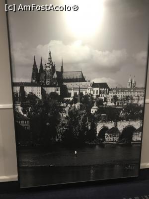 [P04] Tablouri uriase pe holul hotelului cu locuri turistice din Praga » foto by lovetotravel
 - 
<span class="allrVoted glyphicon glyphicon-heart hidden" id="av1077866"></span>
<a class="m-l-10 hidden" id="sv1077866" onclick="voting_Foto_DelVot(,1077866,14981)" role="button">șterge vot <span class="glyphicon glyphicon-remove"></span></a>
<a id="v91077866" class=" c-red"  onclick="voting_Foto_SetVot(1077866)" role="button"><span class="glyphicon glyphicon-heart-empty"></span> <b>LIKE</b> = Votează poza</a> <img class="hidden"  id="f1077866W9" src="/imagini/loader.gif" border="0" /><span class="AjErrMes hidden" id="e1077866ErM"></span>