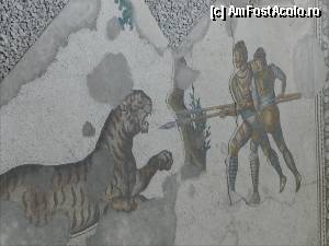 [P32] In lupta cu un tigru. Muzeul de Mozaicuri al Marelui Palat al lui Constantin cel Mare.  » foto by TraianS
 - 
<span class="allrVoted glyphicon glyphicon-heart hidden" id="av389432"></span>
<a class="m-l-10 hidden" id="sv389432" onclick="voting_Foto_DelVot(,389432,14995)" role="button">șterge vot <span class="glyphicon glyphicon-remove"></span></a>
<a id="v9389432" class=" c-red"  onclick="voting_Foto_SetVot(389432)" role="button"><span class="glyphicon glyphicon-heart-empty"></span> <b>LIKE</b> = Votează poza</a> <img class="hidden"  id="f389432W9" src="/imagini/loader.gif" border="0" /><span class="AjErrMes hidden" id="e389432ErM"></span>