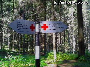[P09] Trasee scurte si minunate!  » foto by yom
 - 
<span class="allrVoted glyphicon glyphicon-heart hidden" id="av540281"></span>
<a class="m-l-10 hidden" id="sv540281" onclick="voting_Foto_DelVot(,540281,15082)" role="button">șterge vot <span class="glyphicon glyphicon-remove"></span></a>
<a id="v9540281" class=" c-red"  onclick="voting_Foto_SetVot(540281)" role="button"><span class="glyphicon glyphicon-heart-empty"></span> <b>LIKE</b> = Votează poza</a> <img class="hidden"  id="f540281W9" src="/imagini/loader.gif" border="0" /><span class="AjErrMes hidden" id="e540281ErM"></span>
