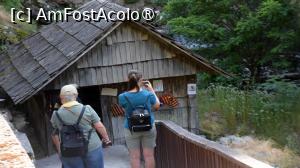 [P44]  -- <small>// FĂRĂ DESCRIERE</small> » foto by pepsi70ro
 - 
<span class="allrVoted glyphicon glyphicon-heart hidden" id="av1491326"></span>
<a class="m-l-10 hidden" id="sv1491326" onclick="voting_Foto_DelVot(,1491326,15101)" role="button">șterge vot <span class="glyphicon glyphicon-remove"></span></a>
<a id="v91491326" class=" c-red"  onclick="voting_Foto_SetVot(1491326)" role="button"><span class="glyphicon glyphicon-heart-empty"></span> <b>LIKE</b> = Votează poza</a> <img class="hidden"  id="f1491326W9" src="/imagini/loader.gif" border="0" /><span class="AjErrMes hidden" id="e1491326ErM"></span>