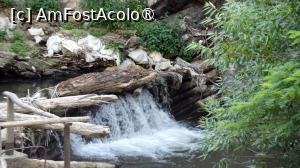 [P45]  -- <small>// FĂRĂ DESCRIERE</small> » foto by pepsi70ro
 - 
<span class="allrVoted glyphicon glyphicon-heart hidden" id="av1491327"></span>
<a class="m-l-10 hidden" id="sv1491327" onclick="voting_Foto_DelVot(,1491327,15101)" role="button">șterge vot <span class="glyphicon glyphicon-remove"></span></a>
<a id="v91491327" class=" c-red"  onclick="voting_Foto_SetVot(1491327)" role="button"><span class="glyphicon glyphicon-heart-empty"></span> <b>LIKE</b> = Votează poza</a> <img class="hidden"  id="f1491327W9" src="/imagini/loader.gif" border="0" /><span class="AjErrMes hidden" id="e1491327ErM"></span>