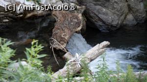 [P46]  -- <small>// FĂRĂ DESCRIERE</small> » foto by pepsi70ro
 - 
<span class="allrVoted glyphicon glyphicon-heart hidden" id="av1491328"></span>
<a class="m-l-10 hidden" id="sv1491328" onclick="voting_Foto_DelVot(,1491328,15101)" role="button">șterge vot <span class="glyphicon glyphicon-remove"></span></a>
<a id="v91491328" class=" c-red"  onclick="voting_Foto_SetVot(1491328)" role="button"><span class="glyphicon glyphicon-heart-empty"></span> <b>LIKE</b> = Votează poza</a> <img class="hidden"  id="f1491328W9" src="/imagini/loader.gif" border="0" /><span class="AjErrMes hidden" id="e1491328ErM"></span>