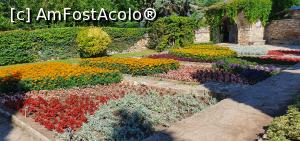 [P16] crâmpei din grădina botanică - domeniul regal de la Balcik » foto by Nobodyforever
 - 
<span class="allrVoted glyphicon glyphicon-heart hidden" id="av1241926"></span>
<a class="m-l-10 hidden" id="sv1241926" onclick="voting_Foto_DelVot(,1241926,15216)" role="button">șterge vot <span class="glyphicon glyphicon-remove"></span></a>
<a id="v91241926" class=" c-red"  onclick="voting_Foto_SetVot(1241926)" role="button"><span class="glyphicon glyphicon-heart-empty"></span> <b>LIKE</b> = Votează poza</a> <img class="hidden"  id="f1241926W9" src="/imagini/loader.gif" border="0" /><span class="AjErrMes hidden" id="e1241926ErM"></span>