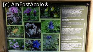 [P21] Panou turistic informativ despre rezervația botanică Fânețele Todirescu care încununează la propriu și figurat Codrul Secular Slătioara » foto by Lucien
 - 
<span class="allrVoted glyphicon glyphicon-heart hidden" id="av1011903"></span>
<a class="m-l-10 hidden" id="sv1011903" onclick="voting_Foto_DelVot(,1011903,15597)" role="button">șterge vot <span class="glyphicon glyphicon-remove"></span></a>
<a id="v91011903" class=" c-red"  onclick="voting_Foto_SetVot(1011903)" role="button"><span class="glyphicon glyphicon-heart-empty"></span> <b>LIKE</b> = Votează poza</a> <img class="hidden"  id="f1011903W9" src="/imagini/loader.gif" border="0" /><span class="AjErrMes hidden" id="e1011903ErM"></span>