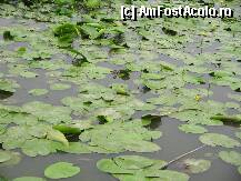 [P14]  -- <small>// FĂRĂ DESCRIERE</small> » foto by monikn
 - 
<span class="allrVoted glyphicon glyphicon-heart hidden" id="av103129"></span>
<a class="m-l-10 hidden" id="sv103129" onclick="voting_Foto_DelVot(,103129,15752)" role="button">șterge vot <span class="glyphicon glyphicon-remove"></span></a>
<a id="v9103129" class=" c-red"  onclick="voting_Foto_SetVot(103129)" role="button"><span class="glyphicon glyphicon-heart-empty"></span> <b>LIKE</b> = Votează poza</a> <img class="hidden"  id="f103129W9" src="/imagini/loader.gif" border="0" /><span class="AjErrMes hidden" id="e103129ErM"></span>
