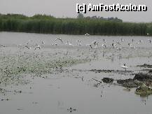 [P16]  -- <small>// FĂRĂ DESCRIERE</small> » foto by monikn
 - 
<span class="allrVoted glyphicon glyphicon-heart hidden" id="av103132"></span>
<a class="m-l-10 hidden" id="sv103132" onclick="voting_Foto_DelVot(,103132,15752)" role="button">șterge vot <span class="glyphicon glyphicon-remove"></span></a>
<a id="v9103132" class=" c-red"  onclick="voting_Foto_SetVot(103132)" role="button"><span class="glyphicon glyphicon-heart-empty"></span> <b>LIKE</b> = Votează poza</a> <img class="hidden"  id="f103132W9" src="/imagini/loader.gif" border="0" /><span class="AjErrMes hidden" id="e103132ErM"></span>