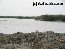 [P24]  -- <small>// FĂRĂ DESCRIERE</small> » foto by monikn
 - 
<span class="allrVoted glyphicon glyphicon-heart hidden" id="av103147"></span>
<a class="m-l-10 hidden" id="sv103147" onclick="voting_Foto_DelVot(,103147,15752)" role="button">șterge vot <span class="glyphicon glyphicon-remove"></span></a>
<a id="v9103147" class=" c-red"  onclick="voting_Foto_SetVot(103147)" role="button"><span class="glyphicon glyphicon-heart-empty"></span> <b>LIKE</b> = Votează poza</a> <img class="hidden"  id="f103147W9" src="/imagini/loader.gif" border="0" /><span class="AjErrMes hidden" id="e103147ErM"></span>