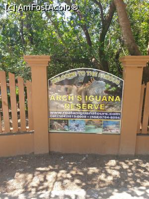 [P33] rezervatia naturala de iguane » foto by robert
 - 
<span class="allrVoted glyphicon glyphicon-heart hidden" id="av1158245"></span>
<a class="m-l-10 hidden" id="sv1158245" onclick="voting_Foto_DelVot(,1158245,15814)" role="button">șterge vot <span class="glyphicon glyphicon-remove"></span></a>
<a id="v91158245" class=" c-red"  onclick="voting_Foto_SetVot(1158245)" role="button"><span class="glyphicon glyphicon-heart-empty"></span> <b>LIKE</b> = Votează poza</a> <img class="hidden"  id="f1158245W9" src="/imagini/loader.gif" border="0" /><span class="AjErrMes hidden" id="e1158245ErM"></span>