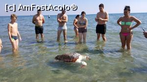 [P05]  -- <small>// FĂRĂ DESCRIERE</small> » foto by ultrasro
 - 
<span class="allrVoted glyphicon glyphicon-heart hidden" id="av1048979"></span>
<a class="m-l-10 hidden" id="sv1048979" onclick="voting_Foto_DelVot(,1048979,16131)" role="button">șterge vot <span class="glyphicon glyphicon-remove"></span></a>
<a id="v91048979" class=" c-red"  onclick="voting_Foto_SetVot(1048979)" role="button"><span class="glyphicon glyphicon-heart-empty"></span> <b>LIKE</b> = Votează poza</a> <img class="hidden"  id="f1048979W9" src="/imagini/loader.gif" border="0" /><span class="AjErrMes hidden" id="e1048979ErM"></span>