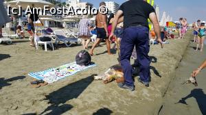 [P06] Testoasa, victima vitezei altora...  » foto by ultrasro
 - 
<span class="allrVoted glyphicon glyphicon-heart hidden" id="av1048980"></span>
<a class="m-l-10 hidden" id="sv1048980" onclick="voting_Foto_DelVot(,1048980,16131)" role="button">șterge vot <span class="glyphicon glyphicon-remove"></span></a>
<a id="v91048980" class=" c-red"  onclick="voting_Foto_SetVot(1048980)" role="button"><span class="glyphicon glyphicon-heart-empty"></span> <b>LIKE</b> = Votează poza</a> <img class="hidden"  id="f1048980W9" src="/imagini/loader.gif" border="0" /><span class="AjErrMes hidden" id="e1048980ErM"></span>