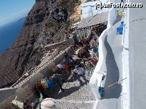 [P14] Măgărușii din Fira » foto by Cleopatraa
 - 
<span class="allrVoted glyphicon glyphicon-heart hidden" id="av590020"></span>
<a class="m-l-10 hidden" id="sv590020" onclick="voting_Foto_DelVot(,590020,16213)" role="button">șterge vot <span class="glyphicon glyphicon-remove"></span></a>
<a id="v9590020" class=" c-red"  onclick="voting_Foto_SetVot(590020)" role="button"><span class="glyphicon glyphicon-heart-empty"></span> <b>LIKE</b> = Votează poza</a> <img class="hidden"  id="f590020W9" src="/imagini/loader.gif" border="0" /><span class="AjErrMes hidden" id="e590020ErM"></span>