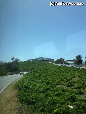 [P04] Primele imagini din insula, nu impresioneaza » foto by Xla
 - 
<span class="allrVoted glyphicon glyphicon-heart hidden" id="av450829"></span>
<a class="m-l-10 hidden" id="sv450829" onclick="voting_Foto_DelVot(,450829,16213)" role="button">șterge vot <span class="glyphicon glyphicon-remove"></span></a>
<a id="v9450829" class=" c-red"  onclick="voting_Foto_SetVot(450829)" role="button"><span class="glyphicon glyphicon-heart-empty"></span> <b>LIKE</b> = Votează poza</a> <img class="hidden"  id="f450829W9" src="/imagini/loader.gif" border="0" /><span class="AjErrMes hidden" id="e450829ErM"></span>